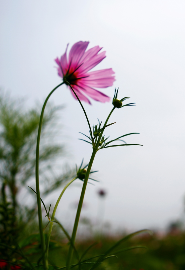 _MG_9383.JPG