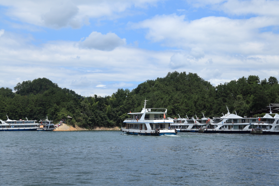IMG_0890.JPG