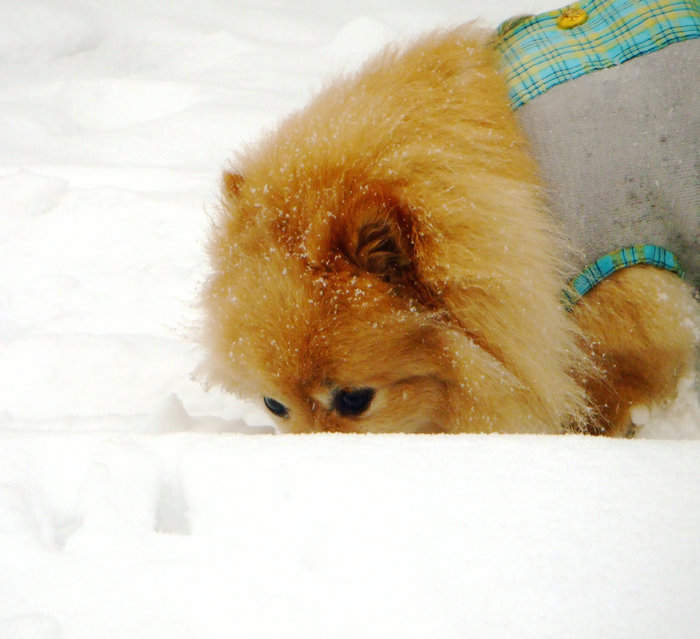 DSCF0210.JPG