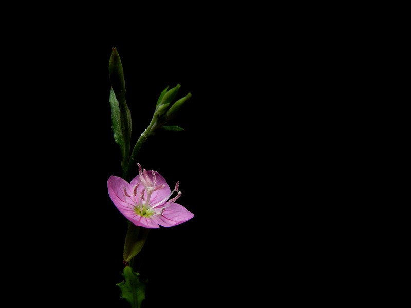 a17655057_s.jpg