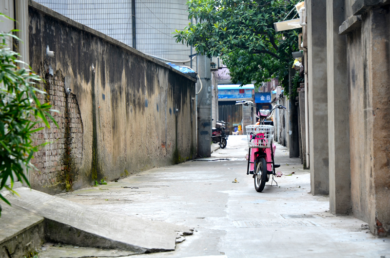 DSC_1361.jpg