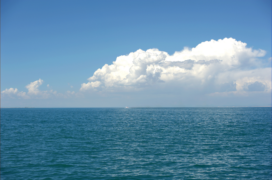 DSC_4164.jpg