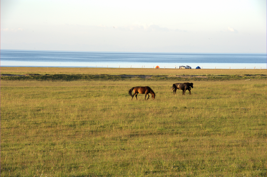 DSC_4282.jpg