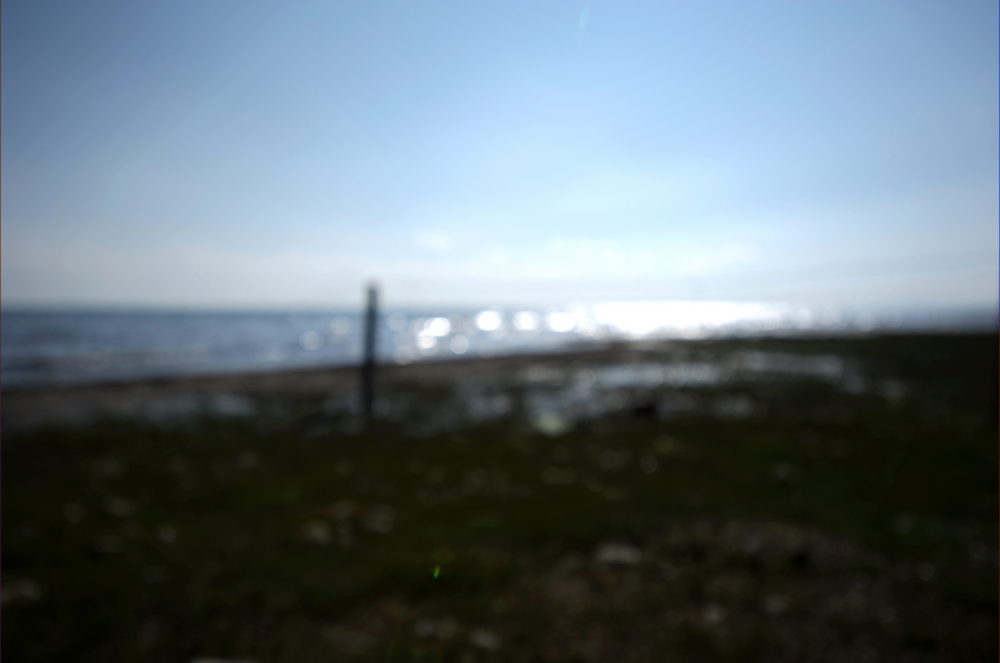 DSC_4362.jpg