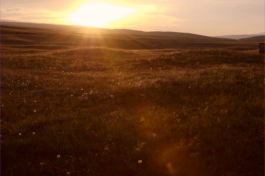 DSC_4374.jpg
