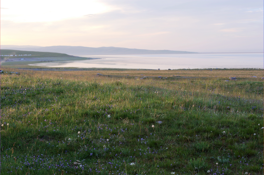 DSC_4378.jpg