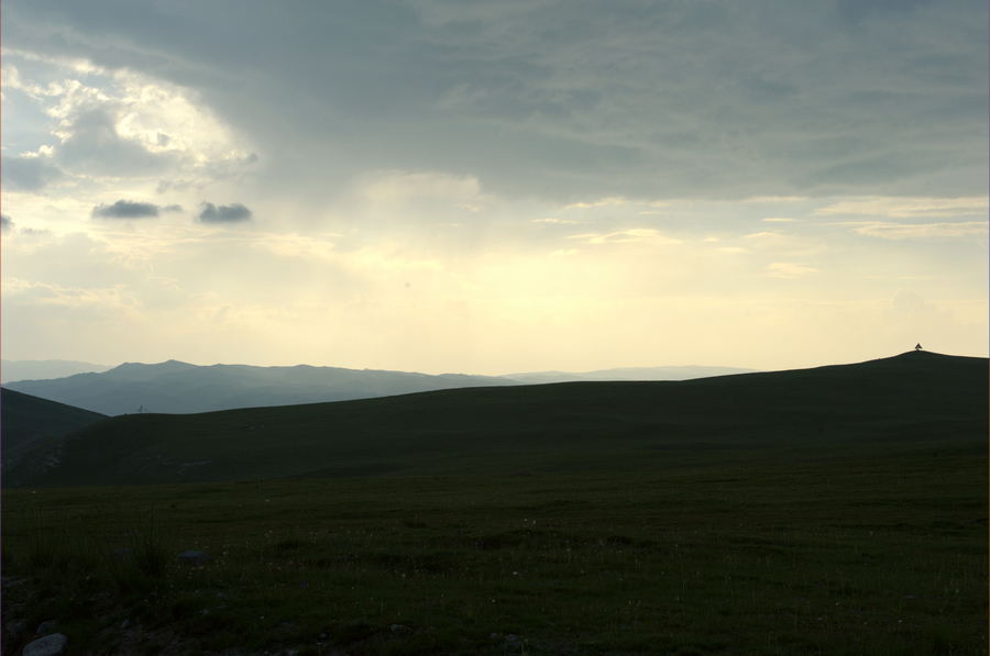 DSC_4446.jpg