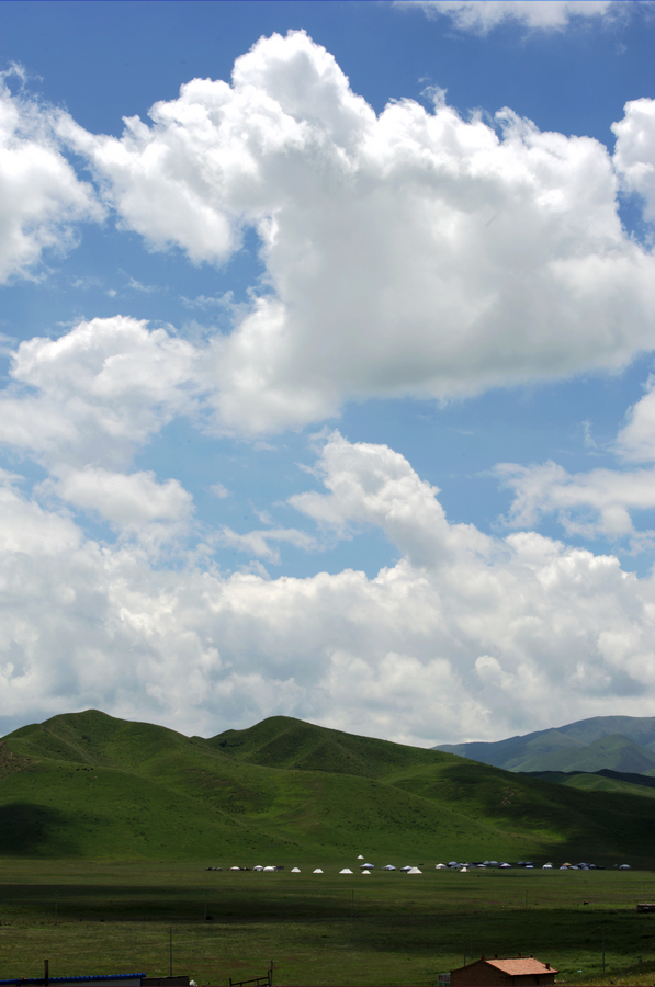 DSC_4907.jpg