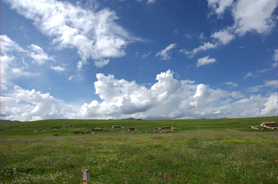 DSC_4954.jpg