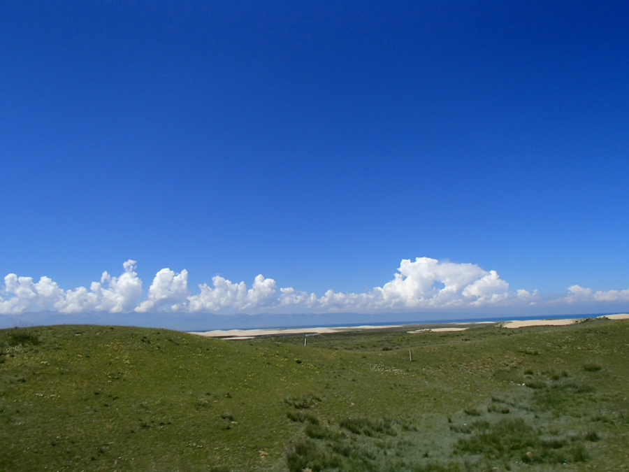 P8030203.jpg
