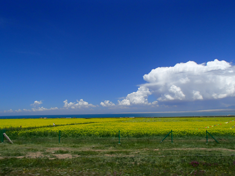 P8030211.jpg
