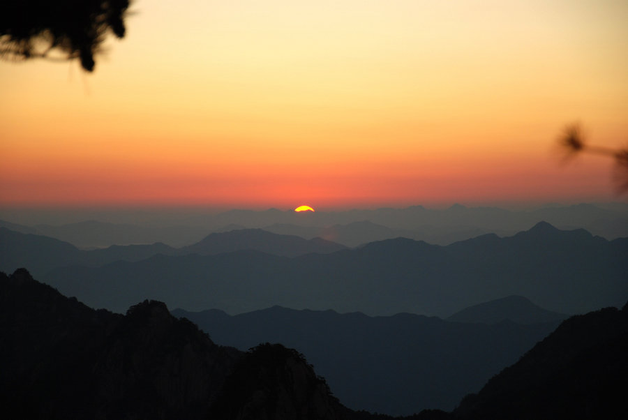 DSC_3518.jpg