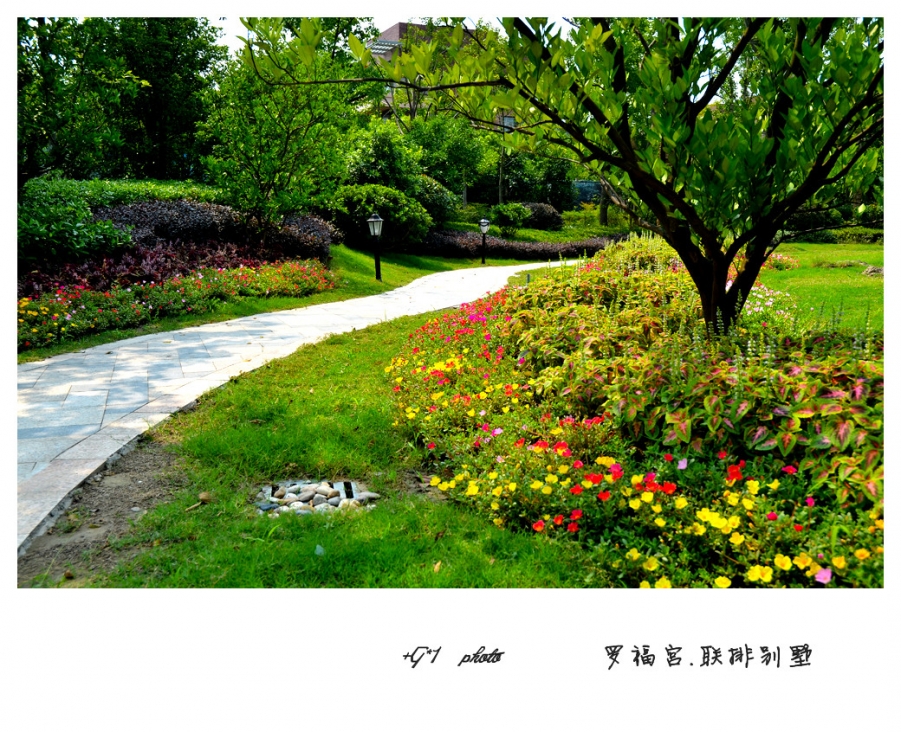 DSC_1372_副本.jpg