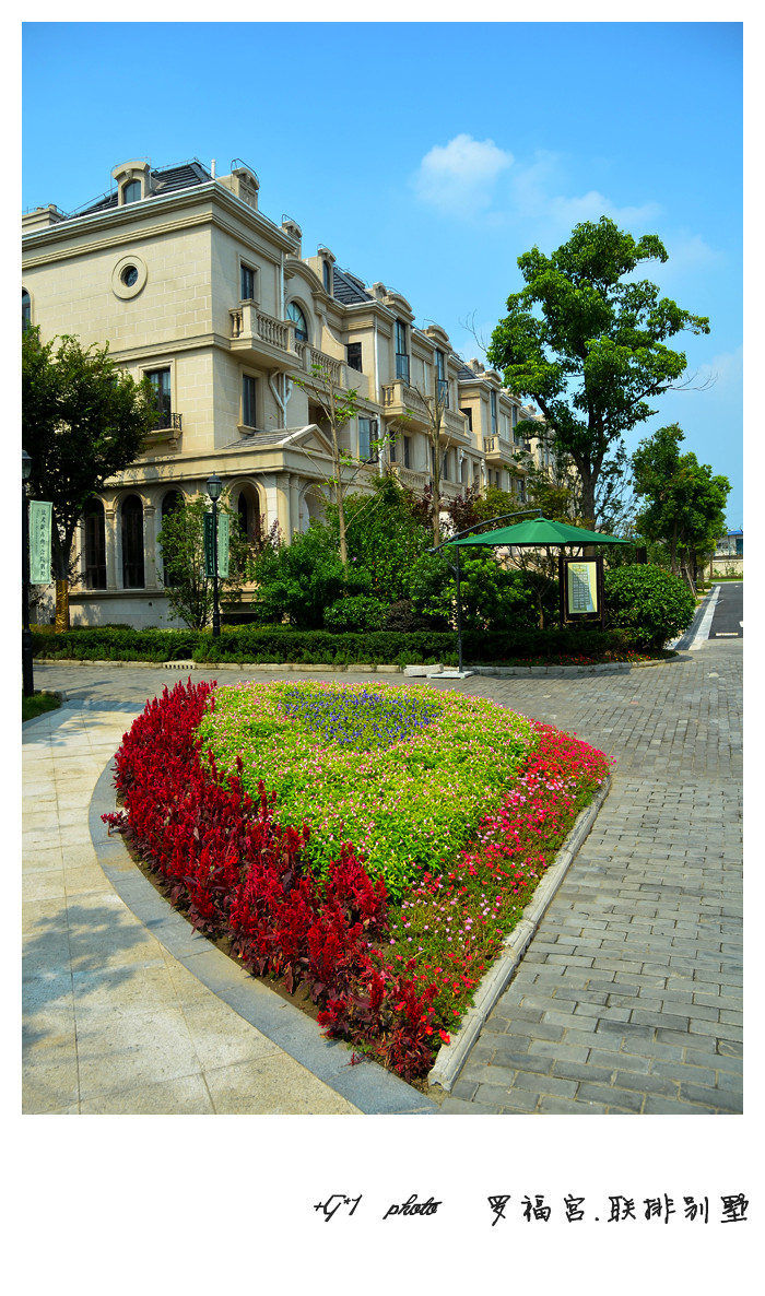 DSC_1390_副本.jpg