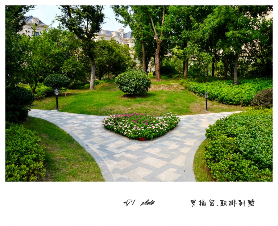 DSC_1401_副本.jpg