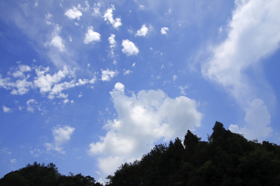 IMG_6110副本.jpg
