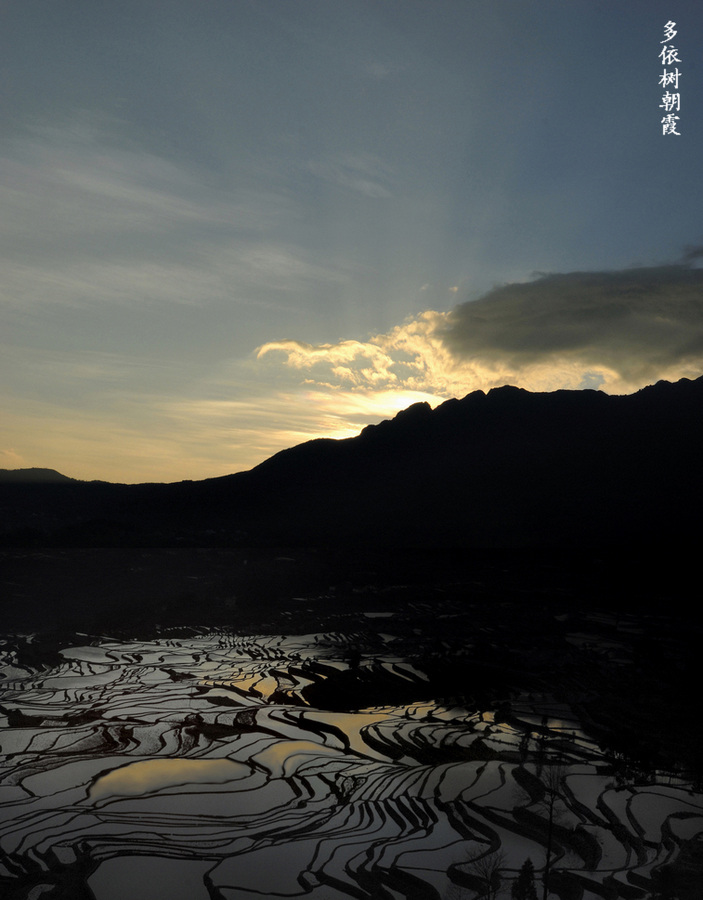 多依树朝霞（三）.jpg