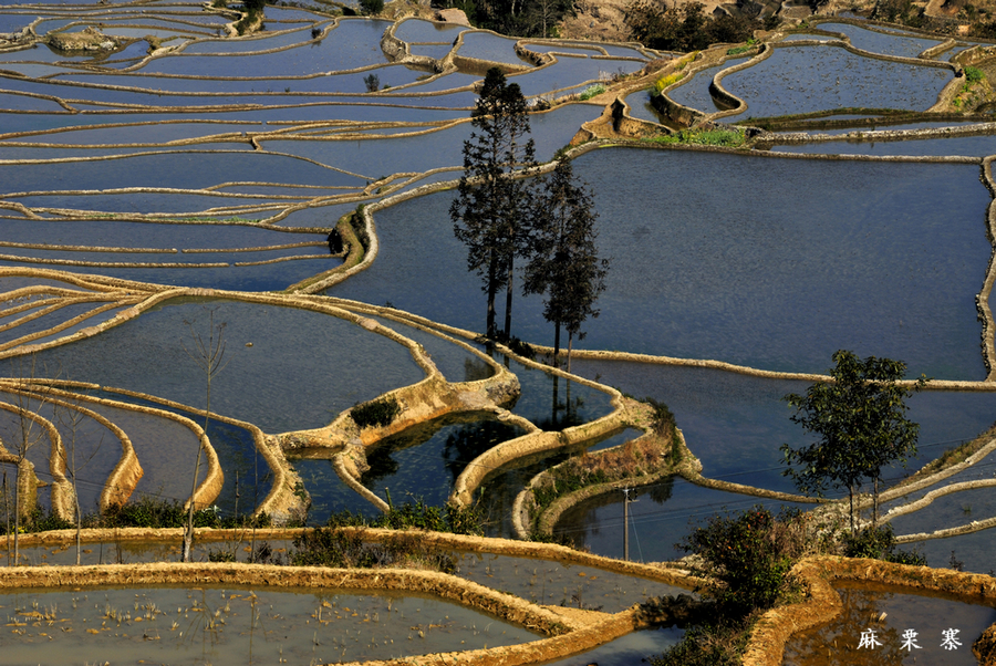 麻栗寨1.jpg