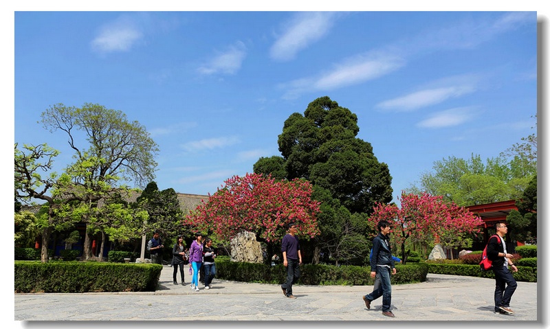 西安景色 269.jpg