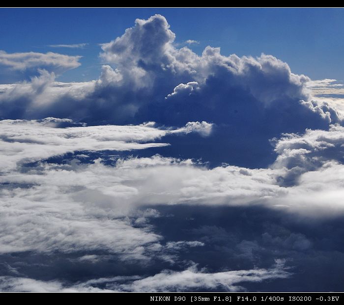 DSC_0230.jpg