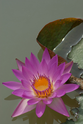 2006-8-5-6摄于长沙 243.jpg