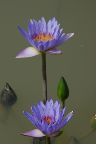2006-8-5-6摄于长沙 319.jpg