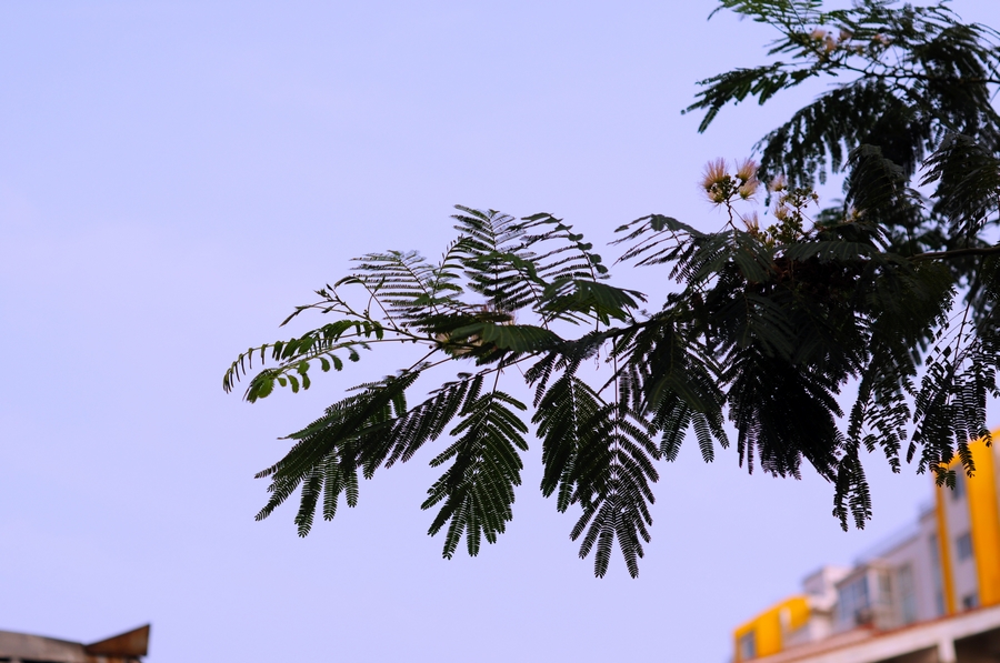 DSC_0479.jpg