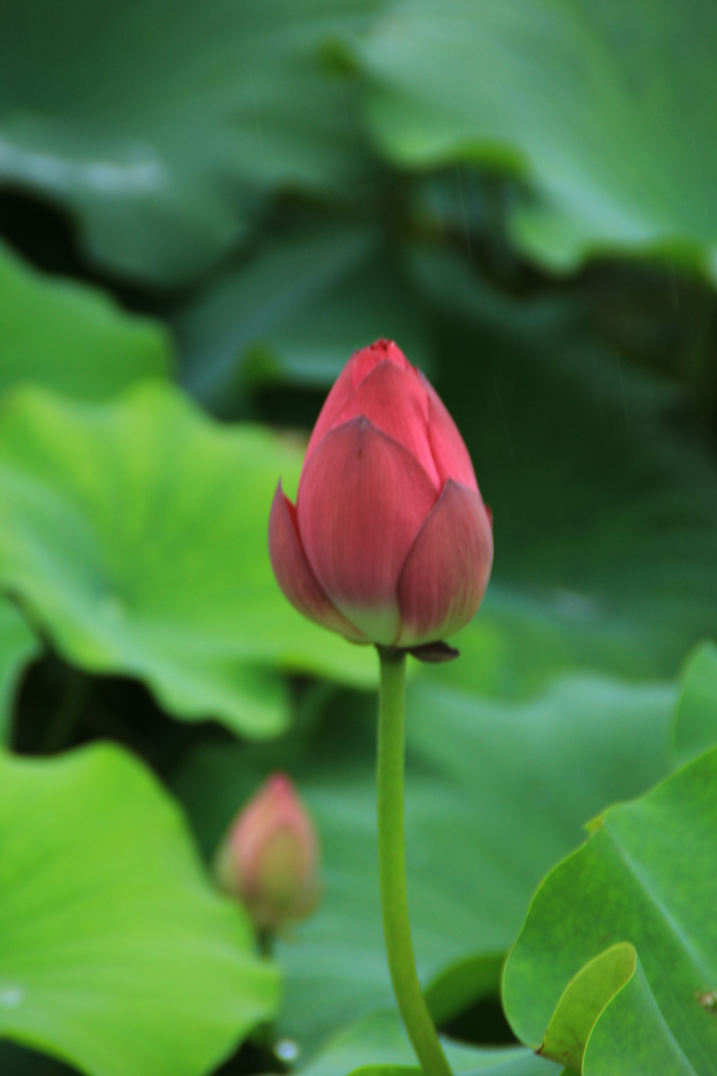 照片 149.jpg