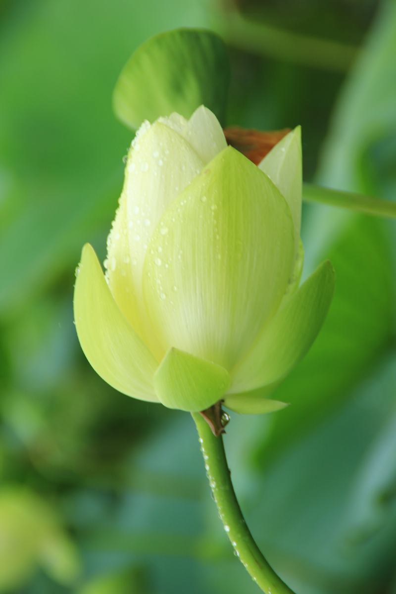 照片 170.jpg