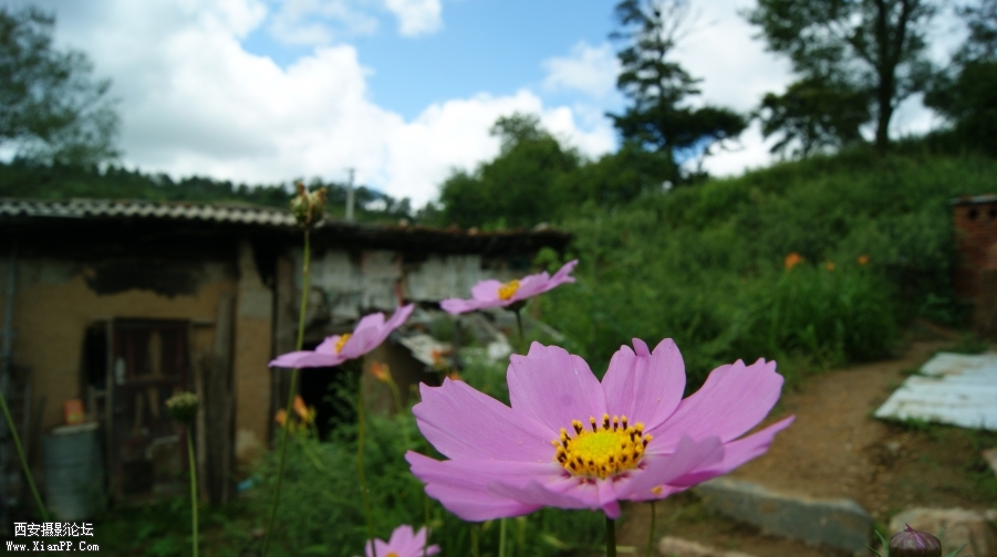 DSC01680.JPG
