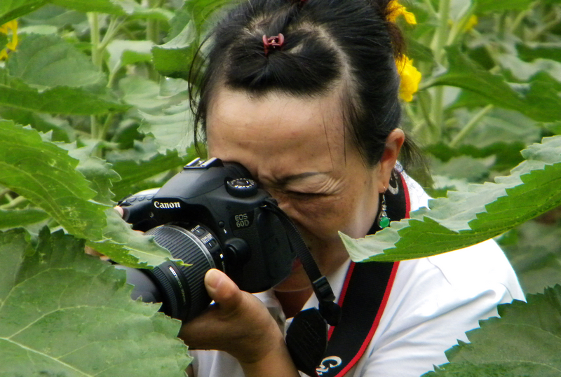 DSCN6651.jpg