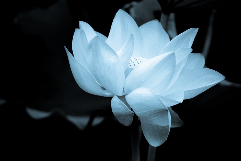 IMG_5200@.jpg