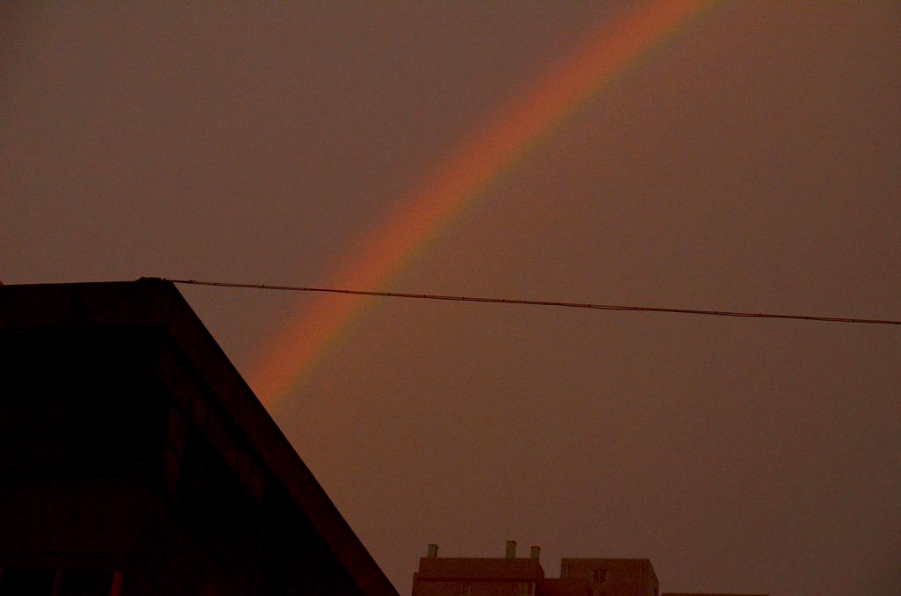 DSC_8492.JPG