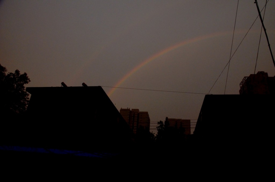 DSC_8493.JPG
