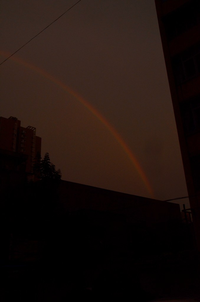 DSC_8495.JPG