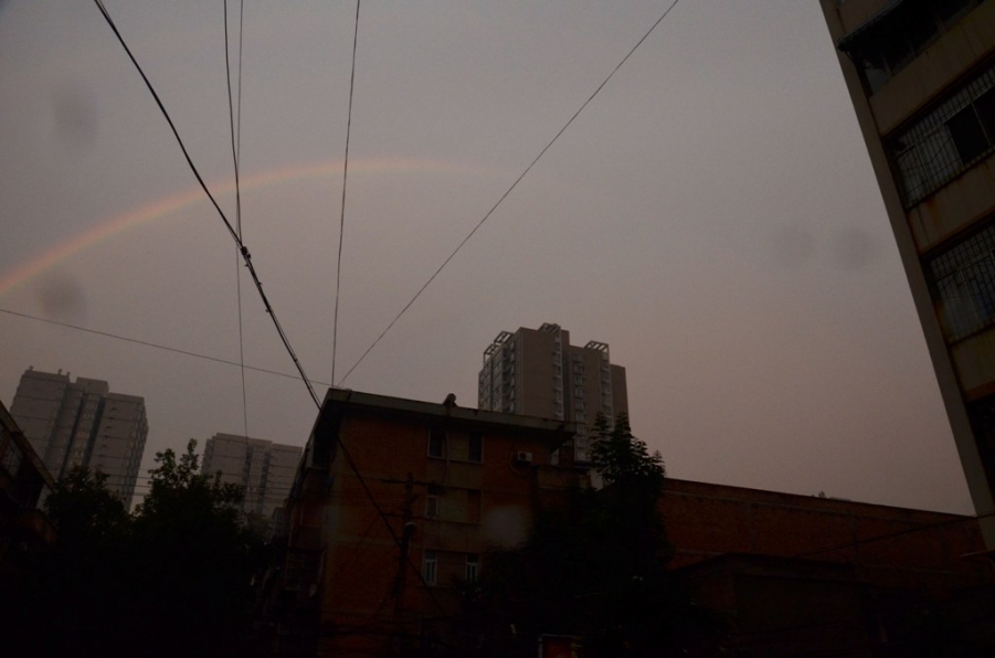 DSC_8497.JPG