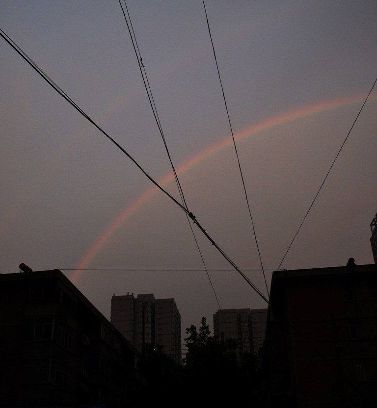 DSC_8501.JPG