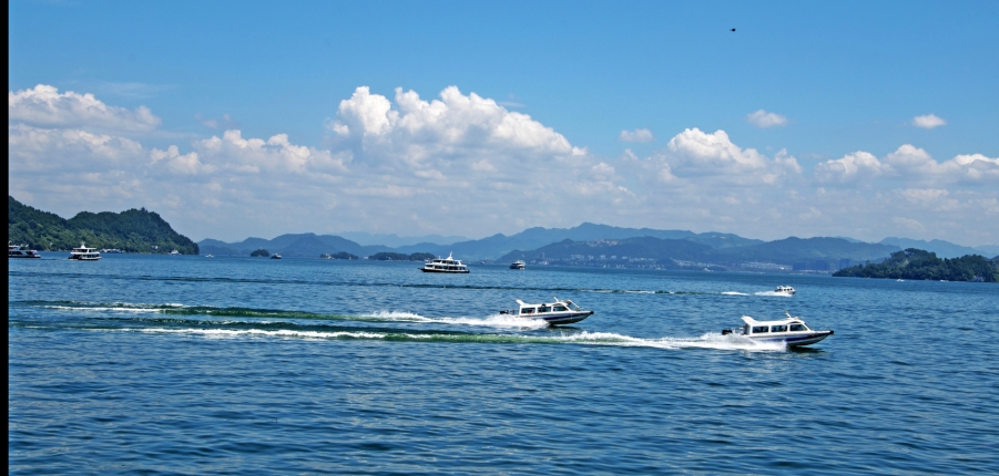nEO_IMG_DSC_0460.jpg