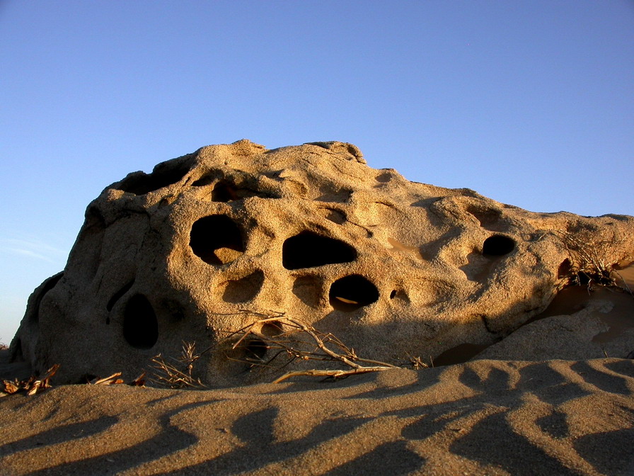 20078281726906[1].jpg