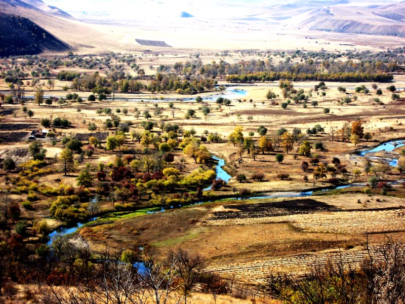 200791120255379613[1].jpg