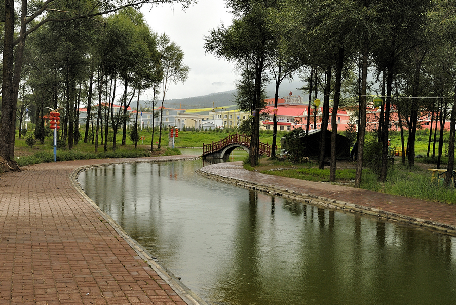 _DSC0011.jpg