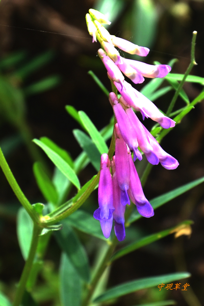 DSC_0377.jpg