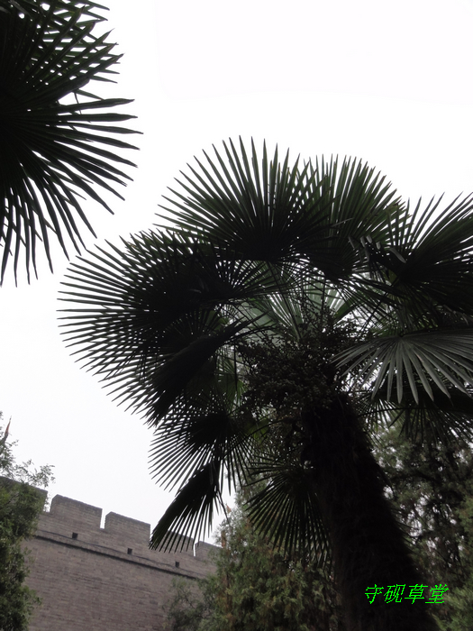 DSC09160.jpg