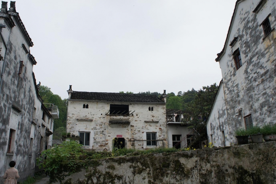 DSC05522.JPG