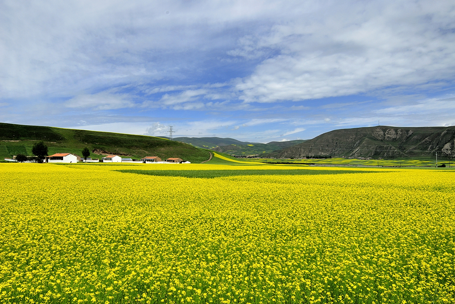 _DSC0084.jpg