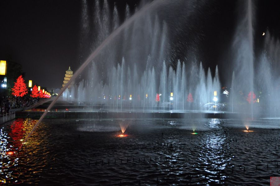 DSC_0334.jpg