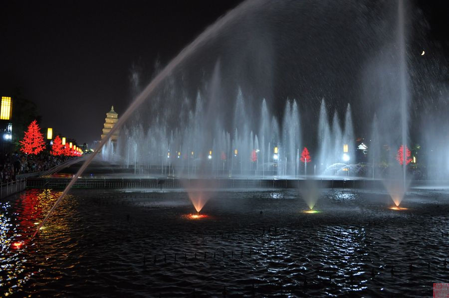 DSC_0336.jpg