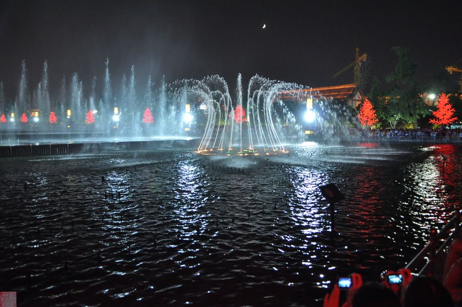 DSC_0390.jpg