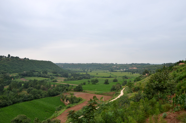 DSC_b.jpg