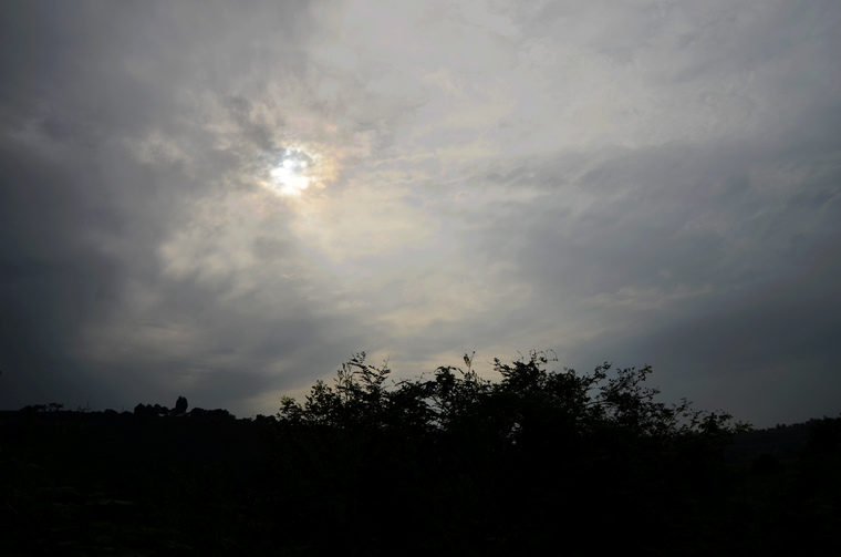 DSC_e.jpg
